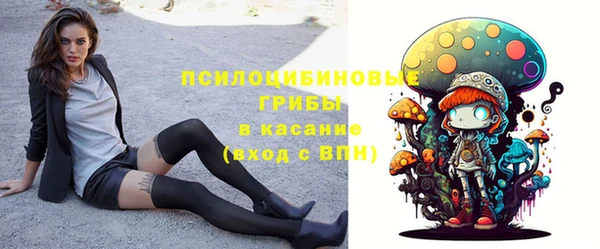 прущая мука Верея