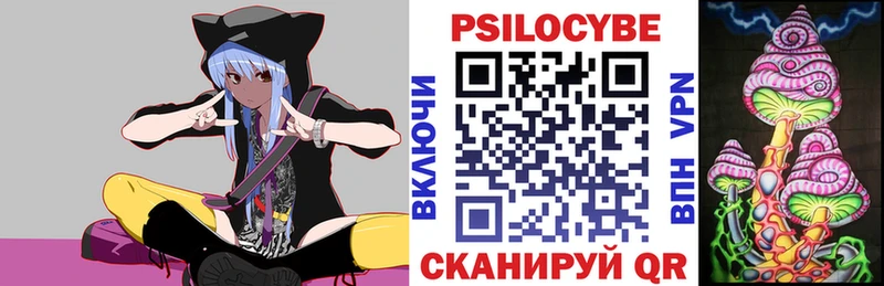 Галлюциногенные грибы Psilocybe  omg вход  Камышлов  хочу наркоту 