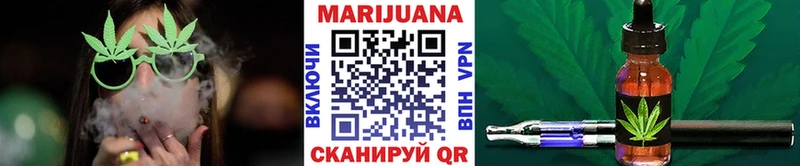 Канабис сатива Камышлов